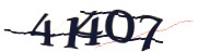 Enter the character string shown in the picture